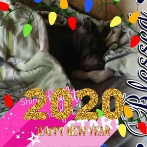 Meet your Posher, Ann